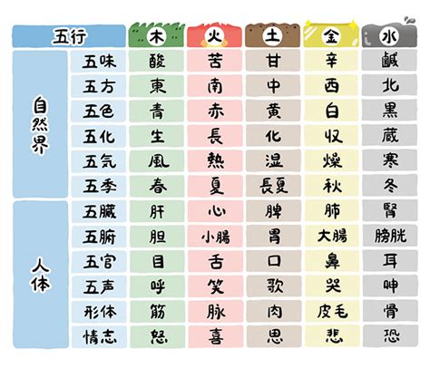 五行色体表とは|五行色体表とは？ビギナーからベテランまで役立つ使い方ガイド。